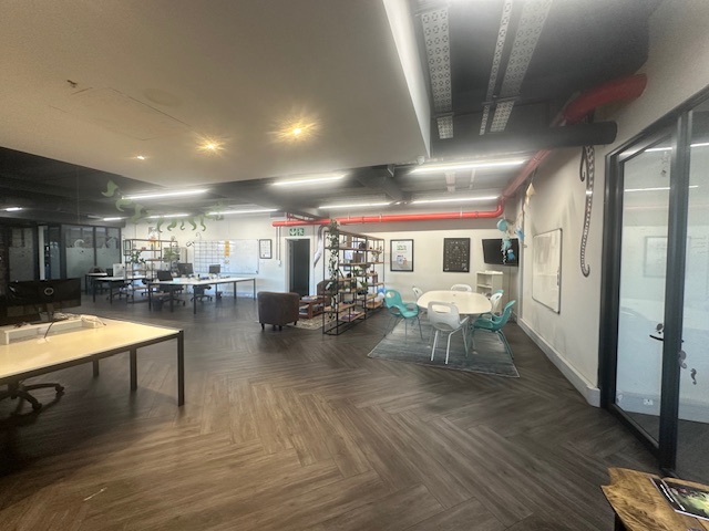 To Let commercial Property for Rent in Zonnebloem Western Cape